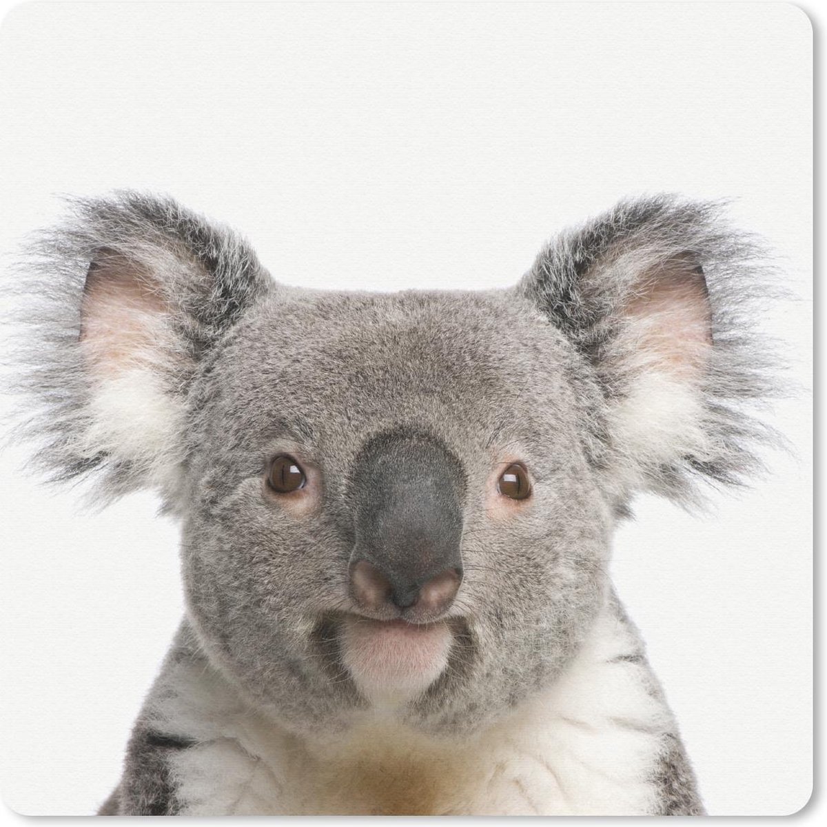 Muismat 20x20 cm - Mousepad Dieren - Koala - Wit - Muismatten