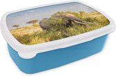 Broodtrommel Blauw - Lunchbox - Brooddoos - Olifant schuilt achter bosje - 18x12x6 cm - Kinderen - Jongen