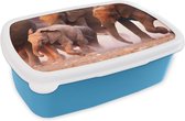 Broodtrommel Blauw - Lunchbox - Brooddoos - Olifant - Dieren - Stof - 18x12x6 cm - Kinderen - Jongen