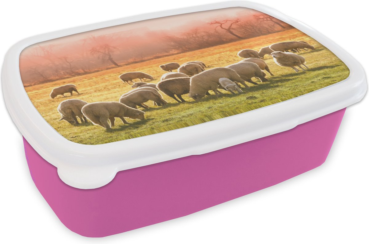 Broodtrommel Roze - Lunchbox - Brooddoos - Dieren - Schaap - Gras - 18x12x6 cm - Kinderen - Meisje