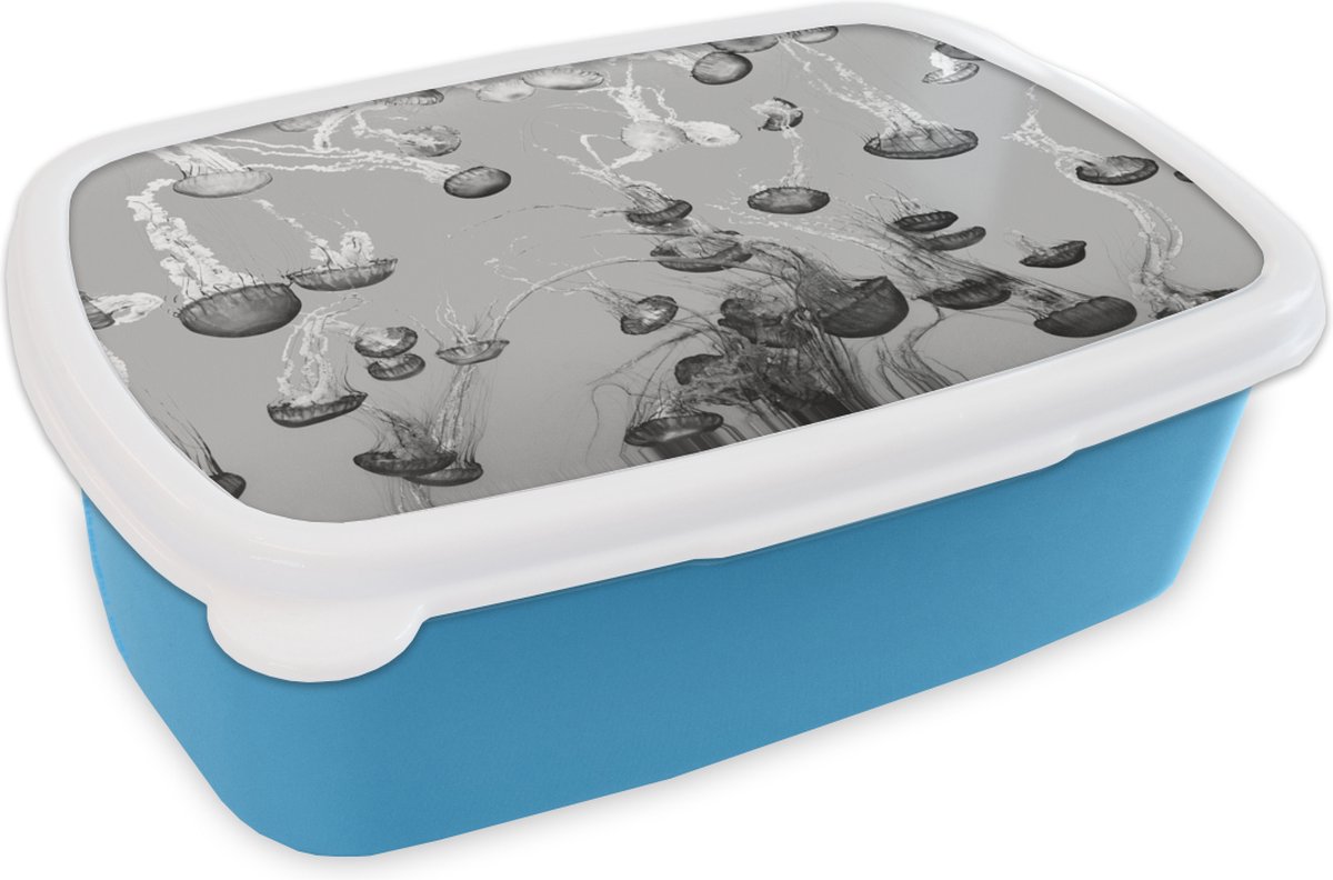 Broodtrommel Blauw - Lunchbox - Brooddoos - Zee - Kwal - Zwart - Wit - 18x12x6 cm - Kinderen - Jongen
