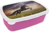 Broodtrommel Roze - Lunchbox Paard - Lucht - Nacht - Gras - Brooddoos 18x12x6 cm - Brood lunch box - Broodtrommels voor kinderen en volwassenen