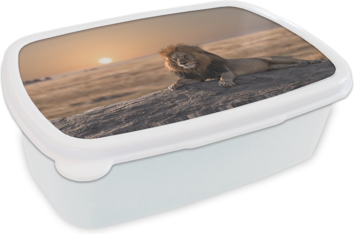 Broodtrommel Wit - Lunchbox - Brooddoos - Leeuw - Zon - Afrika - 18x12x6 cm - Volwassenen