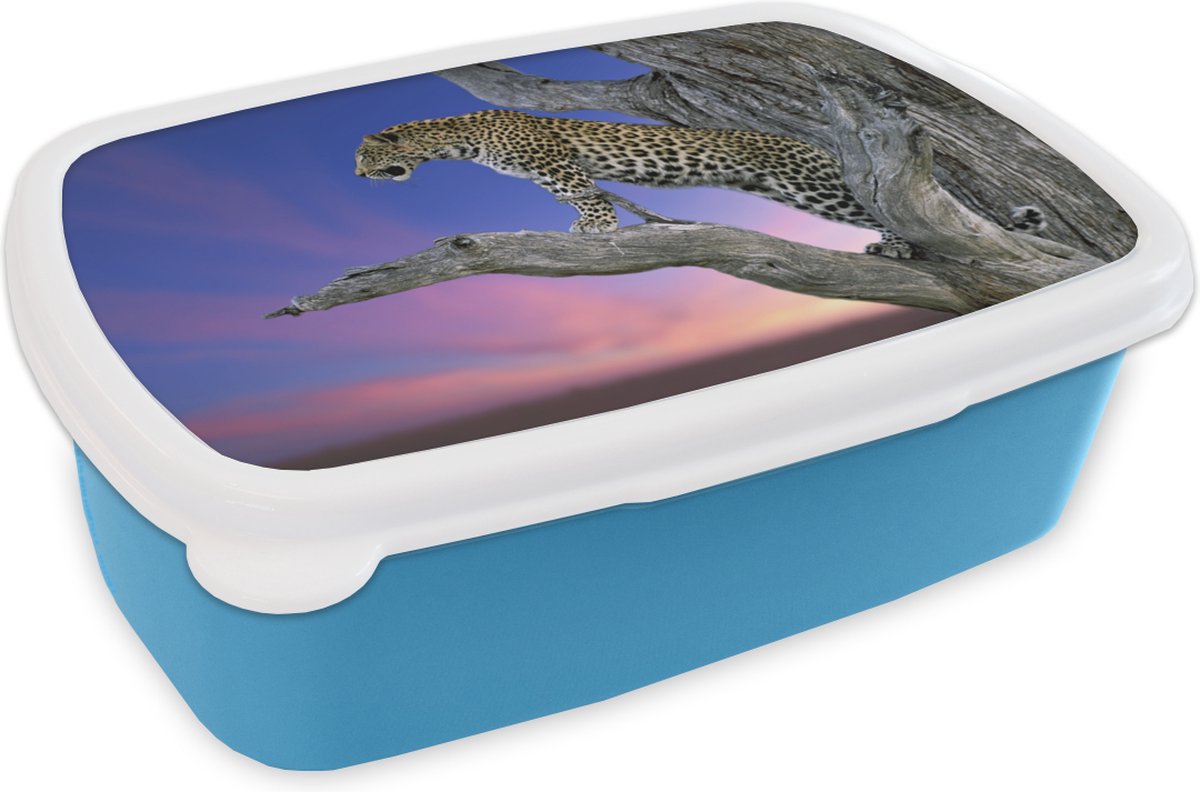 Broodtrommel Blauw - Lunchbox - Brooddoos - Luipaard - Boom - Tak - 18x12x6 cm - Kinderen - Jongen