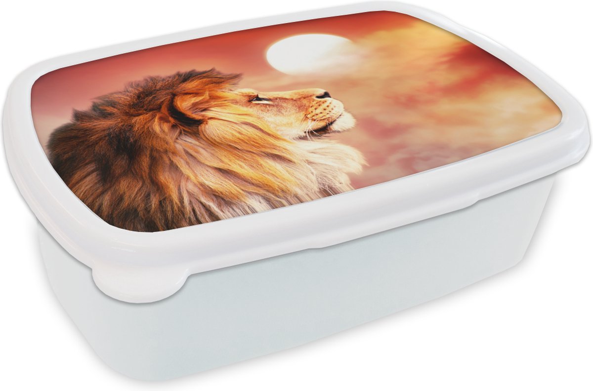 Broodtrommel Wit - Lunchbox - Brooddoos - Leeuwen - Zon - Rood - 18x12x6 cm - Volwassenen