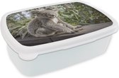 Broodtrommel Wit - Lunchbox - Brooddoos - Koala - Plank - Planten - Kinderen - Jongens - Meiden - 18x12x6 cm - Volwassenen