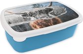 Broodtrommel Blauw - Lunchbox - Brooddoos - Schotse hooglander - Koe - Zwart - Wit - 18x12x6 cm - Kinderen - Jongen