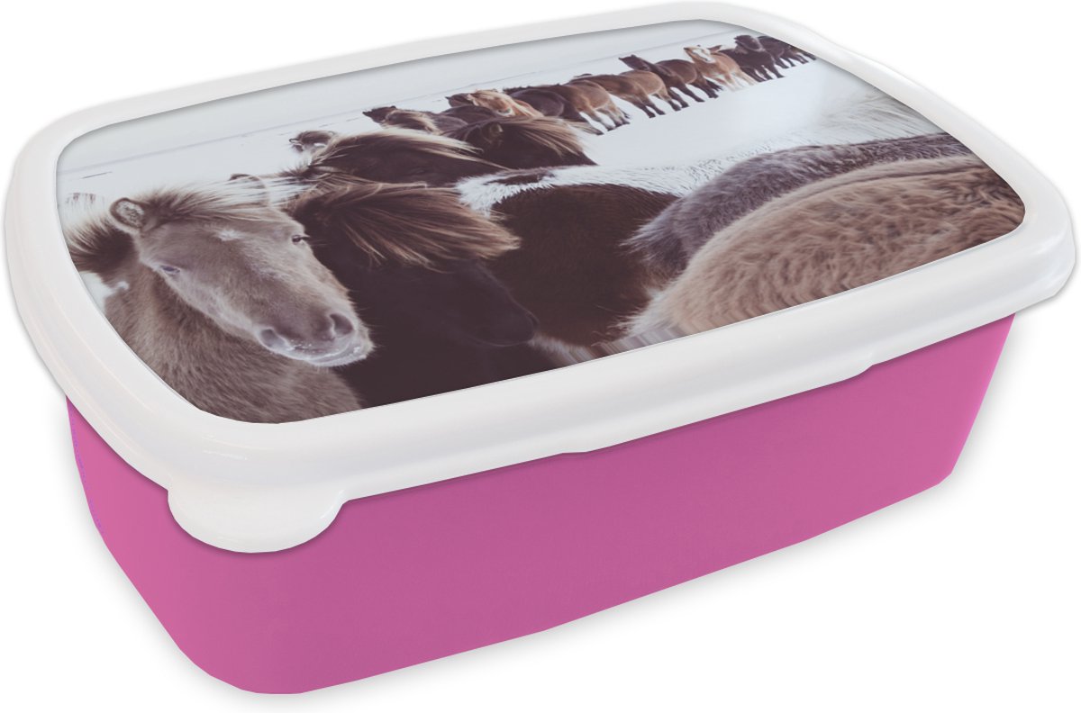 Broodtrommel Roze - Lunchbox - Brooddoos - Paarden - Sneeuw - Wit - 18x12x6 cm - Kinderen - Meisje