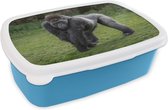 Broodtrommel Blauw - Lunchbox - Brooddoos - Een Gorilla loopt op zijn handen en benen - 18x12x6 cm - Kinderen - Jongen