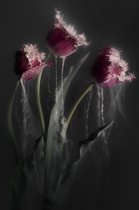 Smoking flowers x – 60cm x 90cm - Fotokunst op PlexiglasⓇ incl. certificaat & garantie.