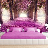 Zelfklevend fotobehang -  Roze pad door het bos  , Premium Print