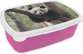 Broodtrommel Roze - Lunchbox - Brooddoos - Panda - Boom - Bos - 18x12x6 cm - Kinderen - Meisje