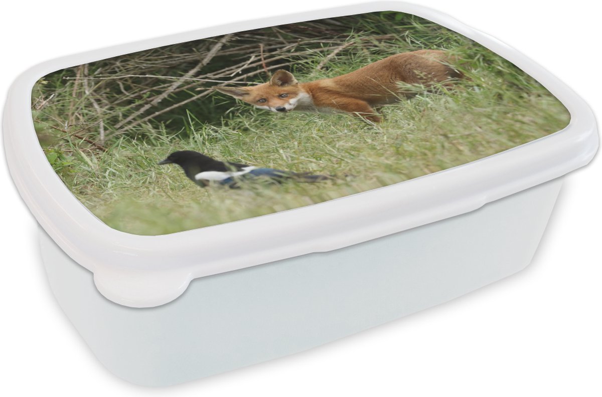 Broodtrommel Wit - Lunchbox - Brooddoos - Dieren - Vogel - Vos - 18x12x6 cm - Volwassenen