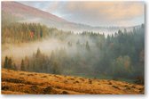 Foggy Morning - Mistige ochtend in de herfst - 1000 Stukjes puzzel voor volwassenen - Landschap - Natuur