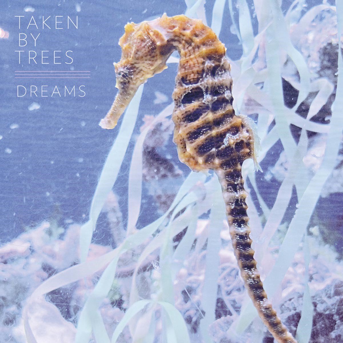 Taken By Trees - Dreams (12" Single)