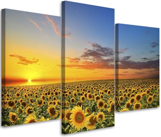 Trend24 - Canvas Schilderij - Weide Van Zonnebloemen - Drieluik - Landschappen - 120x80x2 cm - Geel
