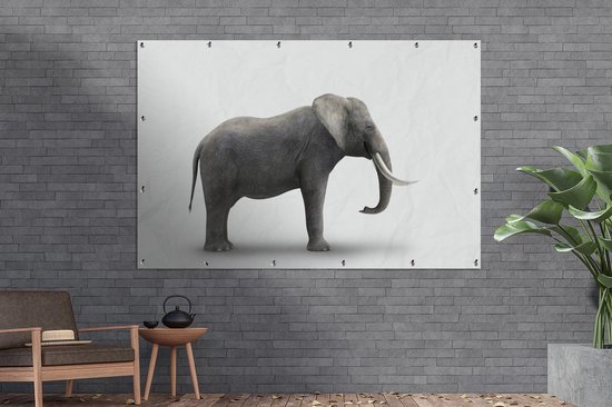 Décoration murale Eléphant sur fond blanc - 180x120 cm - Poster jardin - Toile jardin