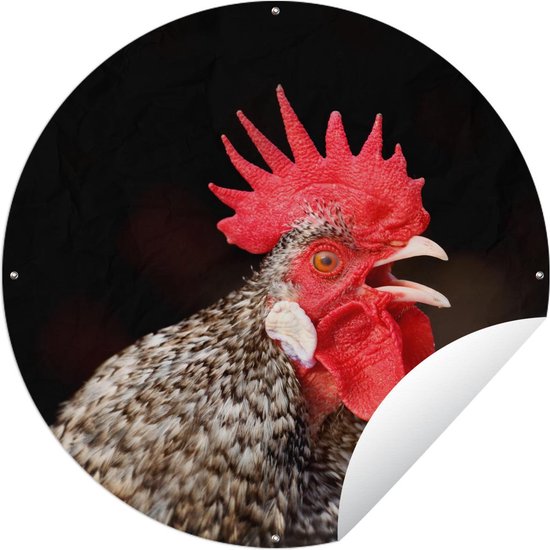 affiche-de-jardin-ronde-kip-affiche-de-jardin-coq-qui-chante