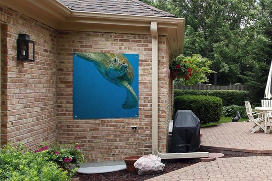 Toile de jardin Impression photo contact visuel avec tortue - 100x100 cm