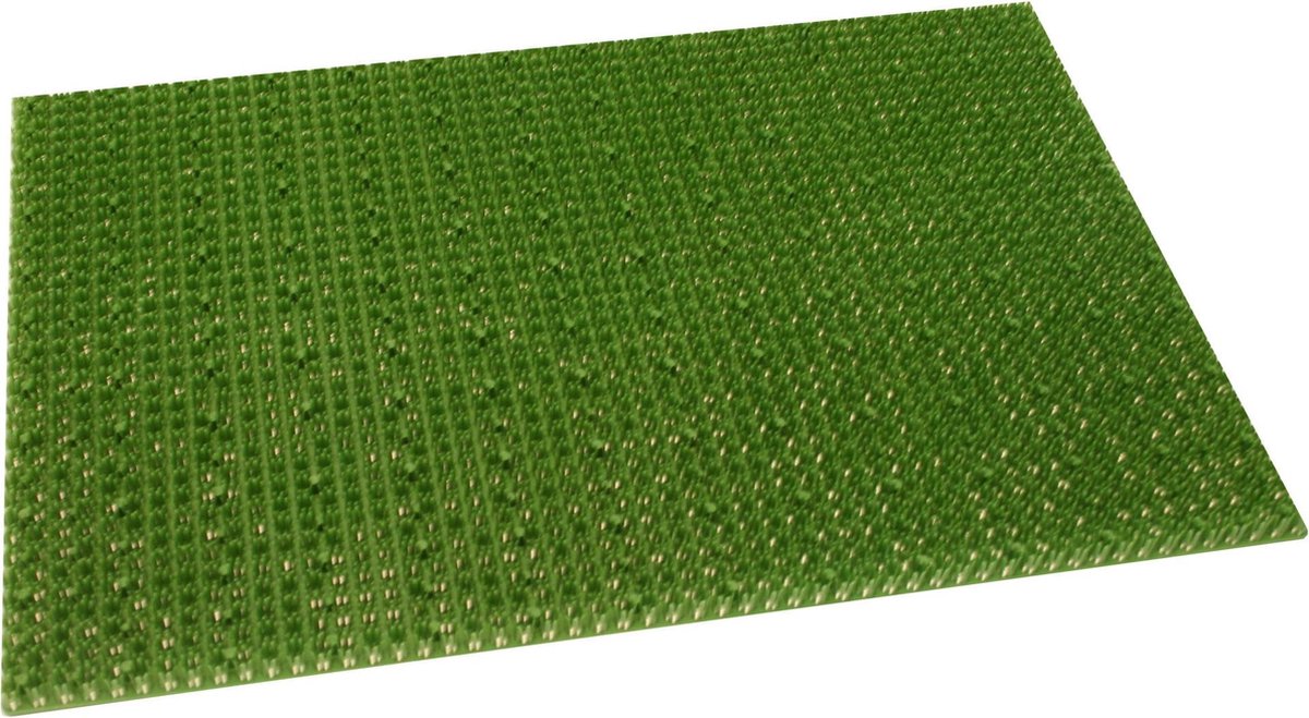 Intrada Nederland Groene deurmat - kunststof - vuilafschrapend - 40 x 60 cm