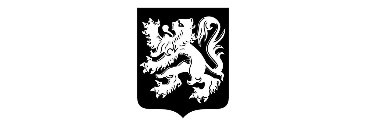 Vlag Merksplas 100x150cm