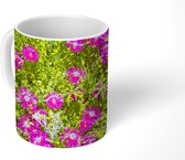 Mok - Aster bloemen tussen groene bladeren - 350 ML - Beker