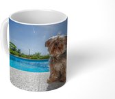 Mok - Yorkshire Terrier bij een zwembad op een zonnige dag - 350 ML - Beker