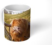 Mok - Schotse Hooglander - Hek - Gras - 350 ML - Beker