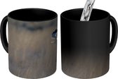 Magische Mok - Foto op Warmte Mok - Een mannelijke blauwe kiekendief die vliegt - 350 ML