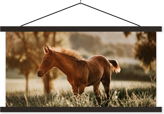 Porte-affiche avec affiche - Affiche scolaire - Cheval - Lumière - Prairie - 150x75 cm - Lattes noires