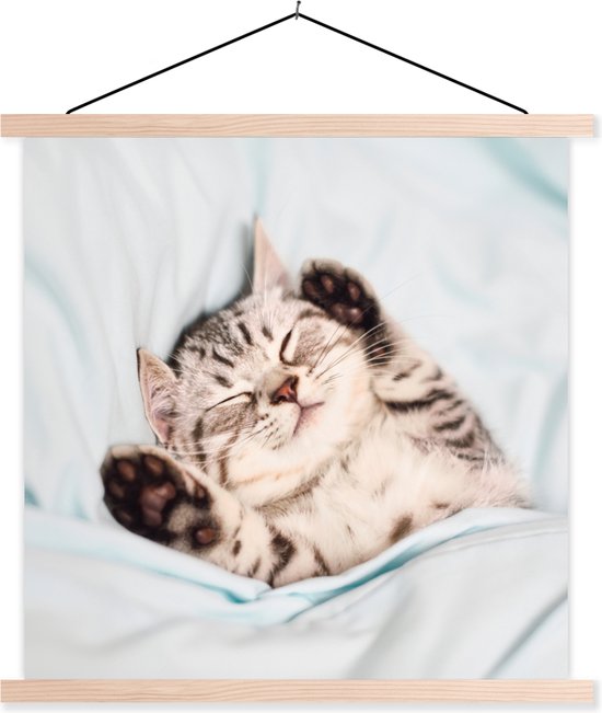 Porte-affiche avec affiche - Affiche scolaire - Chaton - Lit - Pieds - Filles - Enfants - Garçons - Enfant - 60x60 cm - Lattes transparentes