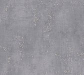 AS Creation Titanium 3 - Papier peint aspect béton - Industriel - gris argent bronze - 1005 x 53 cm