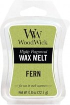 Fern Wax Melt - Scented Wax 22.7g