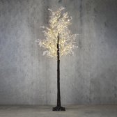 Luca Lighting - Boom flower bruin frosted klassiek wit 270led IP 44 timer - h210xd100cm - Woonaccessoires en seizoensgebondendecoratie  (Britse stekker )