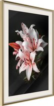 Poster Pale Pink Lilies 40x60