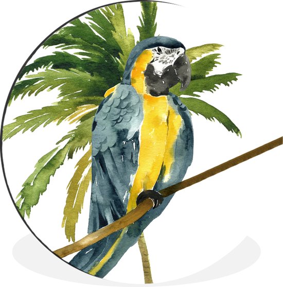 Wall Circle - Wall Circle - Jungle - Perroquet - Branche - Aluminium - ⌀ 60 cm - Intérieur et Extérieur