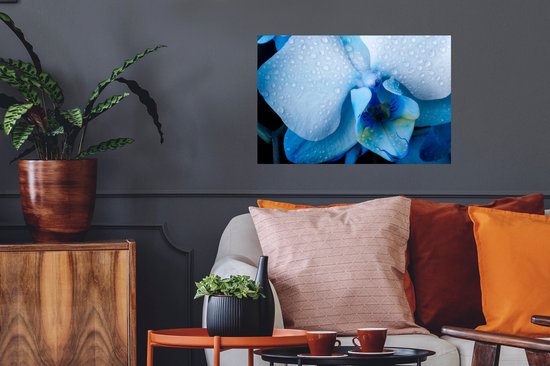 Muurstickers - Sticker Folie - Close-up van een blauwe orchidee met lichtgekleurde bladeren - 60x40 cm - Plakfolie - Muurstickers Kinderkamer - Zelfklevend Behang - Zelfklevend behangpapier - Stickerfolie