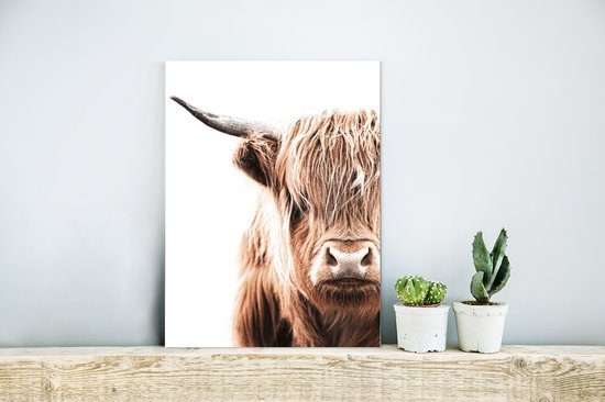 Décoration murale Métal - Peinture Aluminium Industriel - Highlander Ecossais - Vache - Wit - 30x40 cm - Dibond - Photo sur aluminium - Décoration murale industrielle - Pour le salon/chambre