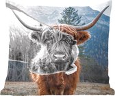 Coussins décoratifs - Oreillers Salon - 60x60 cm - Animaux - Highlander écossais - Taureau