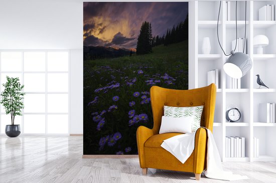 Champ de fleurs dans les montagnes Rocky au crépuscule 170x260 cm