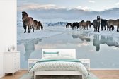 Behang - Fotobehang Paarden - IJs - Sneeuw - Breedte 360 cm x hoogte 240 cm