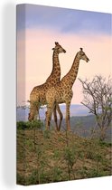 Canvas Schilderij Giraffes - Lucht - Landschap - 80x120 cm - Wanddecoratie