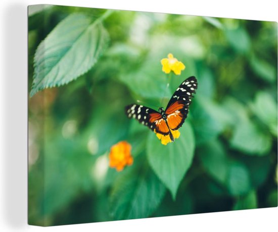 Canvas schilderij 140x90 cm - Wanddecoratie Vlinder op bloem - Muurdecoratie woonkamer - Slaapkamer decoratie - Kamer accessoires - Schilderijen