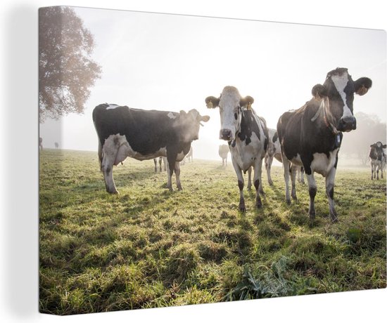 Canvas - Koeien - Landschap - Mist - Dieren - Schilderij op canvas - Canvasdoek - 150x100 cm