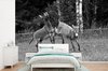 Behang - Fotobehang Schoppende ezel - zwart wit - Breedte 525 cm x hoogte 350 cm