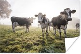 Een mistige ochtend bij de Friese koeien in het weiland Poster 30x20 cm - klein - Foto print op Poster (wanddecoratie woonkamer / slaapkamer) / Boerderijdieren Poster