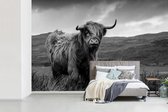 Papier peint - Papier peint photo Highlander écossais au bord d'un lac - noir et blanc - Largeur 360 cm x hauteur 240 cm