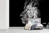 Behang - Fotobehang Leeuw op een zwarte achtergrond - zwart wit - Breedte 450 cm x hoogte 300 cm