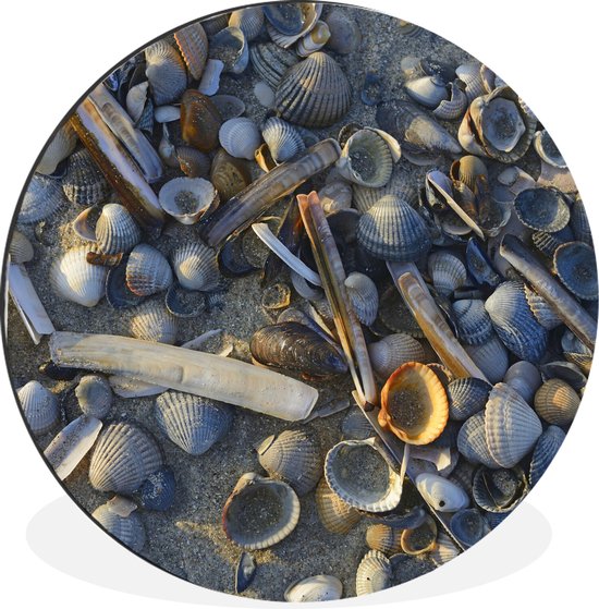 Cercle mural - Cercle mural - Coquillages sur la plage Vlieland - Aluminium - ⌀ 30 cm - Intérieur et extérieur