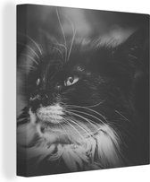 Tableau sur toile Profil animal chat de face en noir et blanc - 20x20 cm - Décoration murale